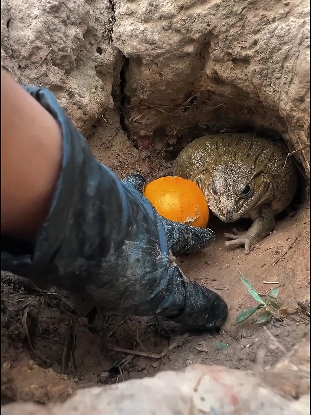 JUMPSCARE DÜZENLEME