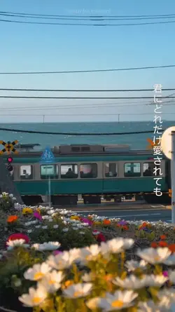 Kokoronashi jepang