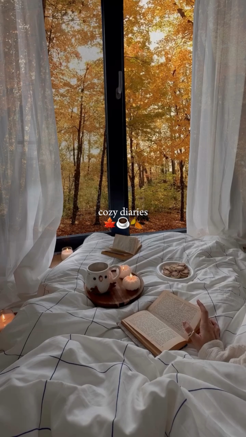 cozy diaries