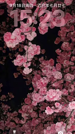 WALLPAPER