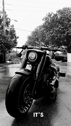 Harley Davidson