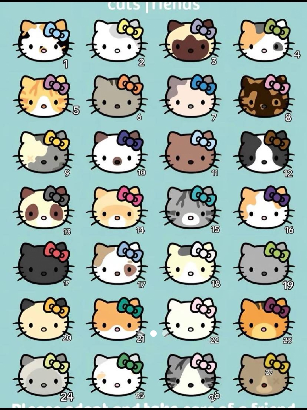 고양이 트렌드 