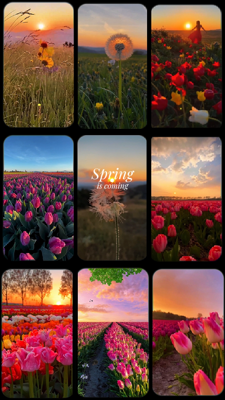 Spring season