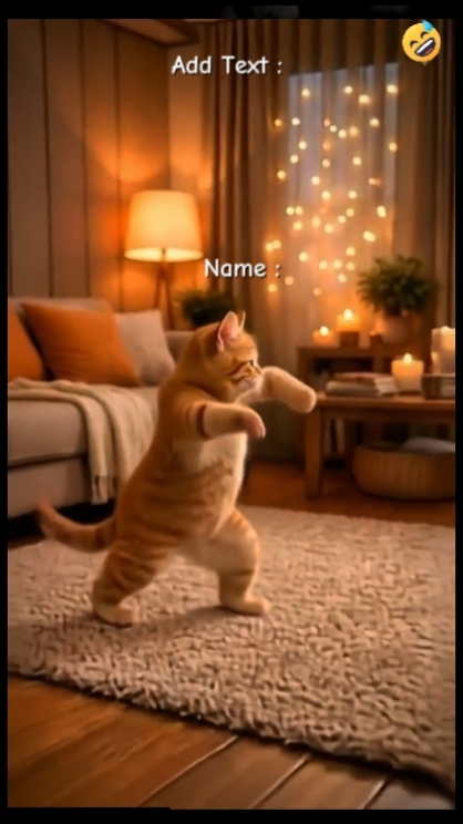 Gato de baile divertido