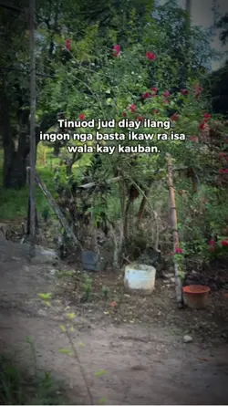 Tinood jd diay