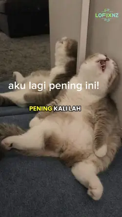 hiburan lucu part23š¤£