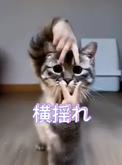 横揺れ 修正版
