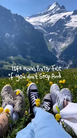 stop & look around ✨