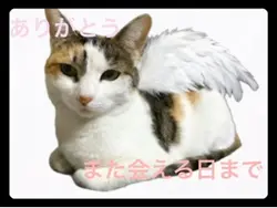 天国へ続く階段