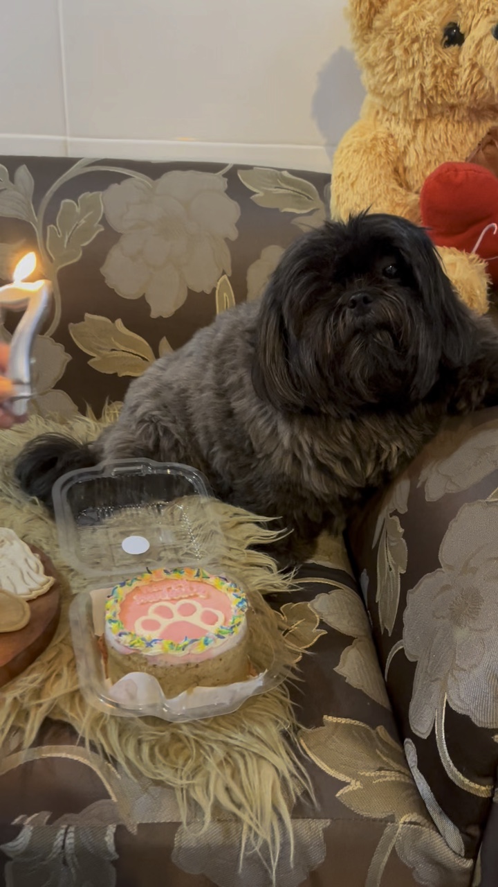 Feliz cumpleaños perro