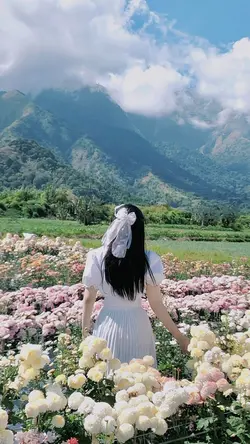 Aesthetic β»