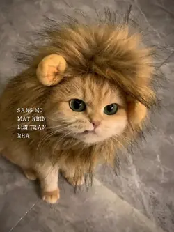 Đến giờ đi học rồi