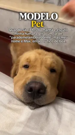 Modelo pet