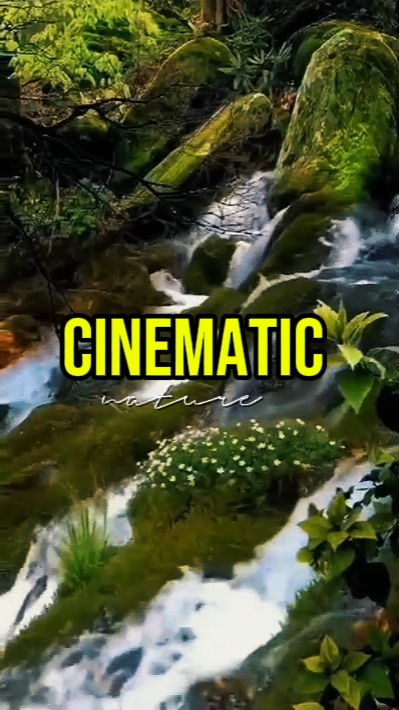 CINEMATIC NATURE 