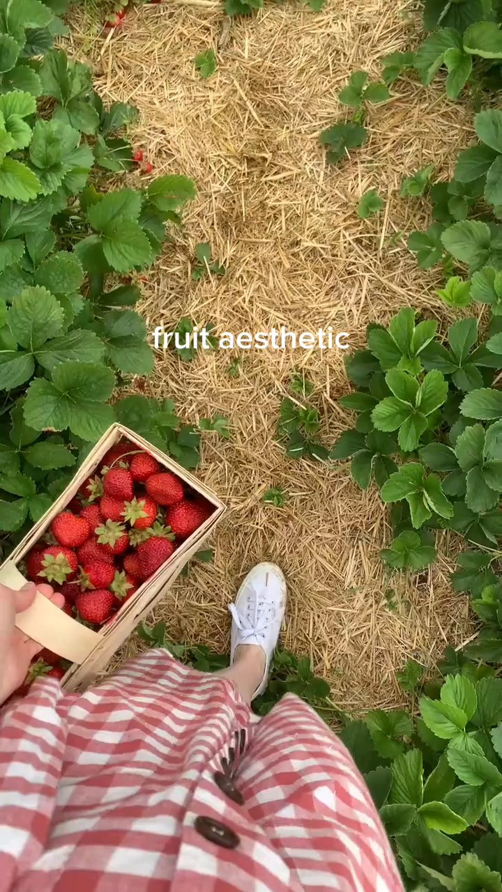 aesthetic ng prutas
