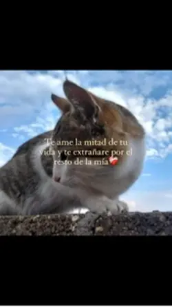 TE EXTRAÑARE</3