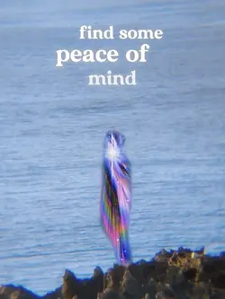 united in grief