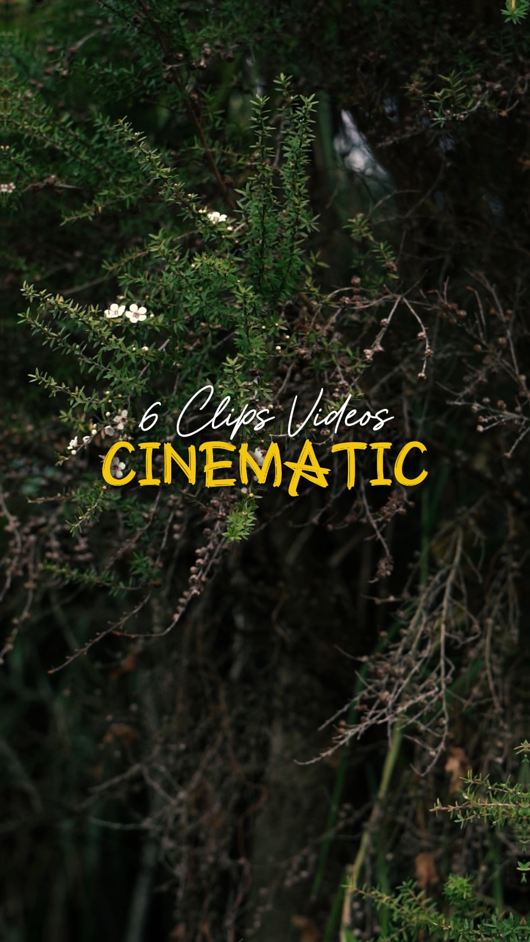 Cinematic 6 Videos