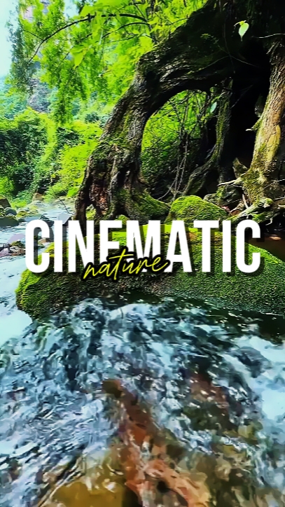 CINEMATIC NATURE