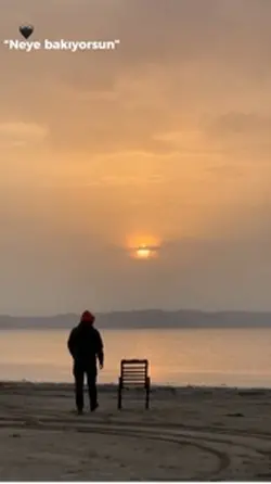 Ücretsiz şablon