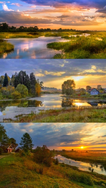 Nature 