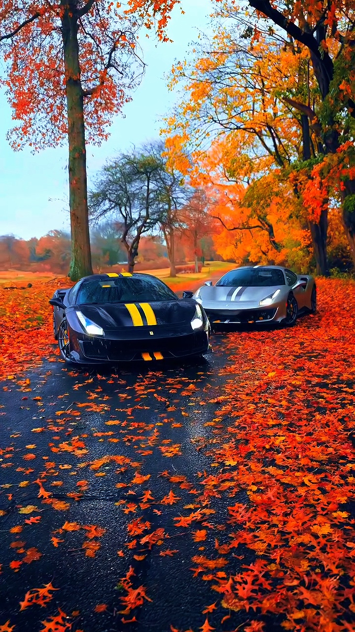 Car templates 
