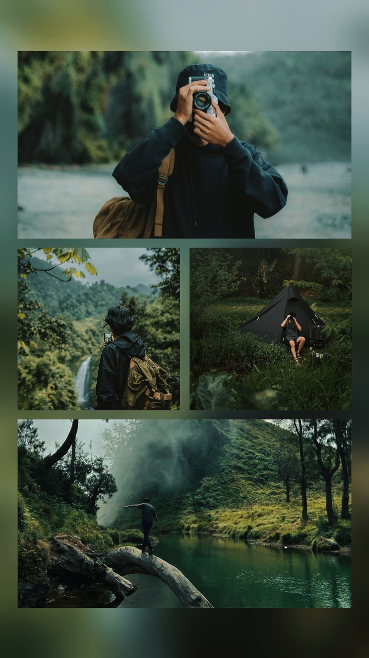 4 pict nature