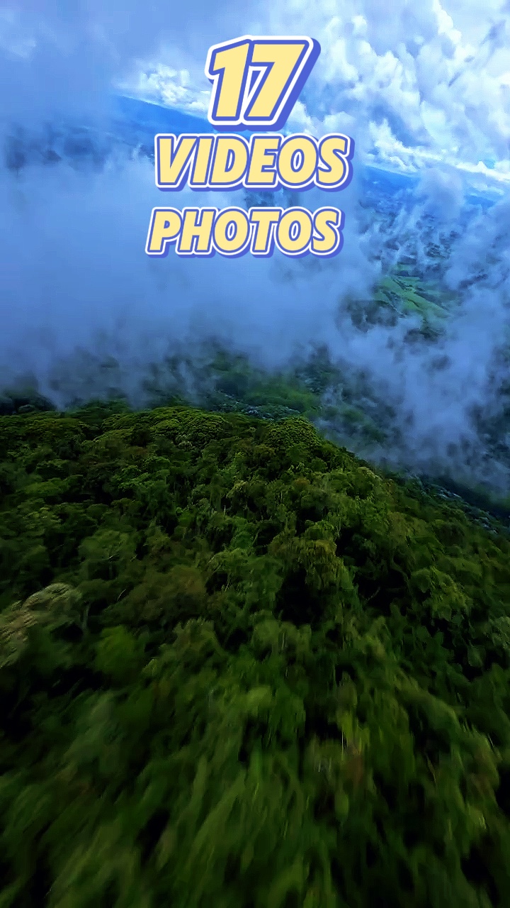 17 clip or photo 