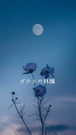 ガラスの林檎🍏