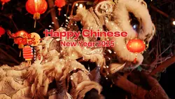 happy Chinese 