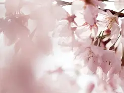 ㅤ