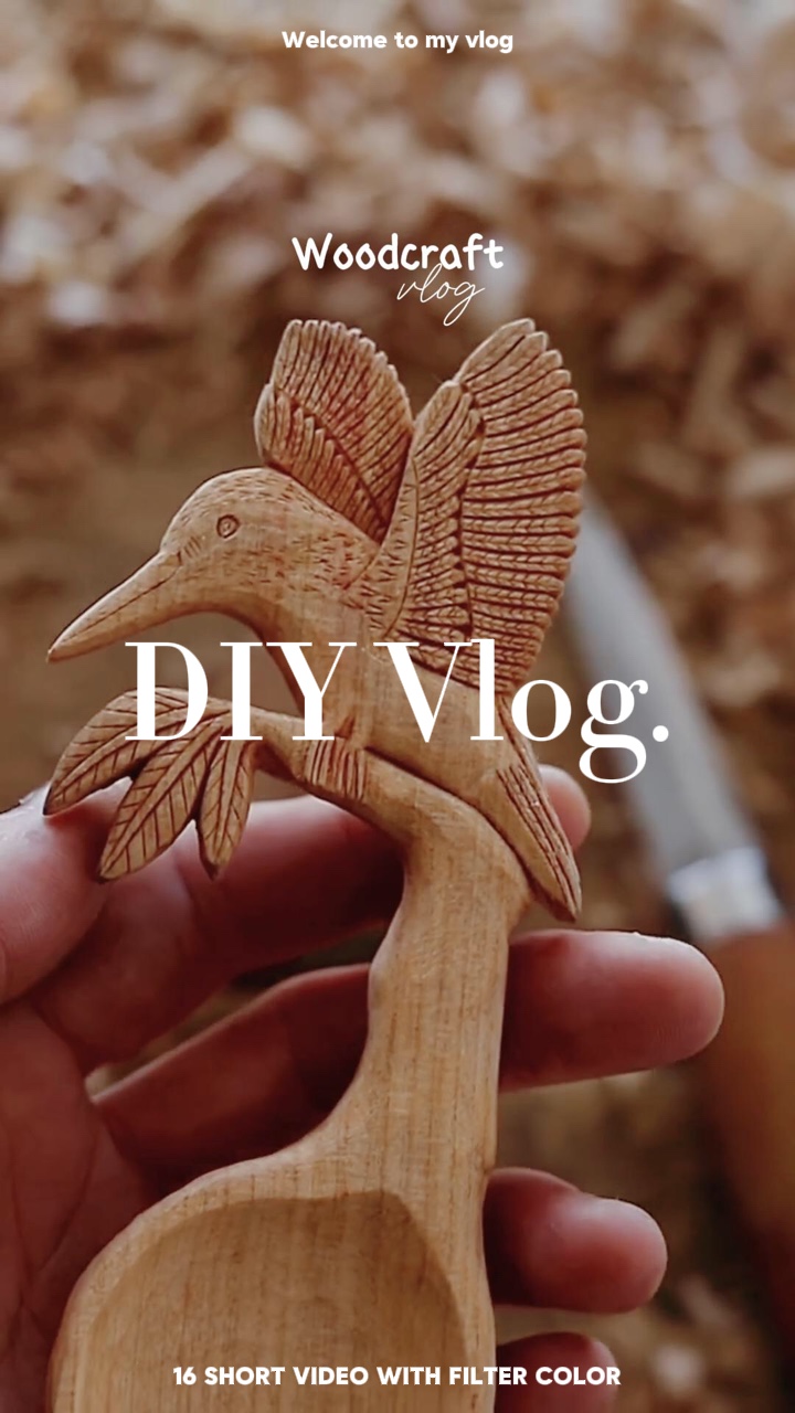 Mini vlog diario