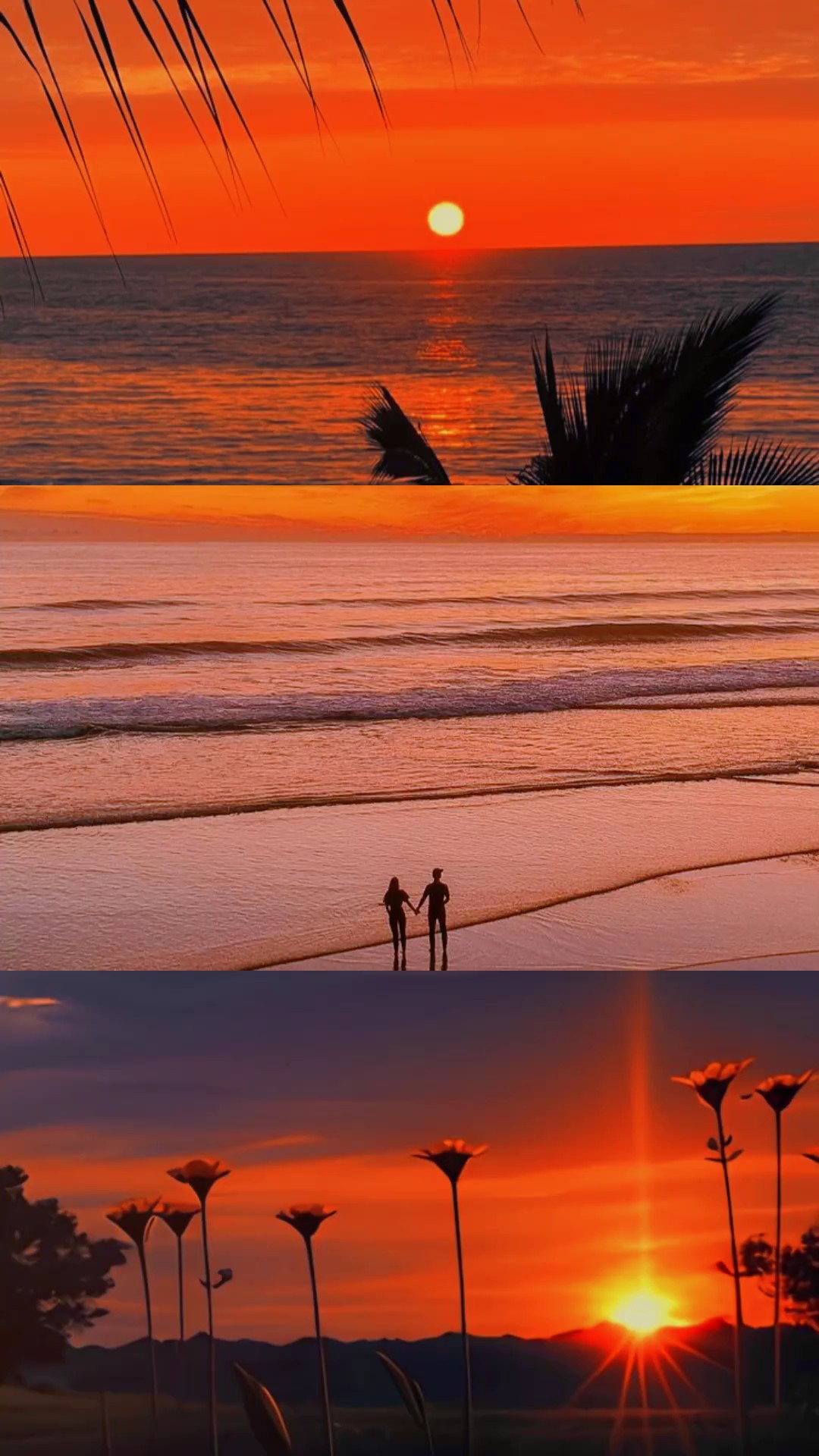 Sunset Estetik