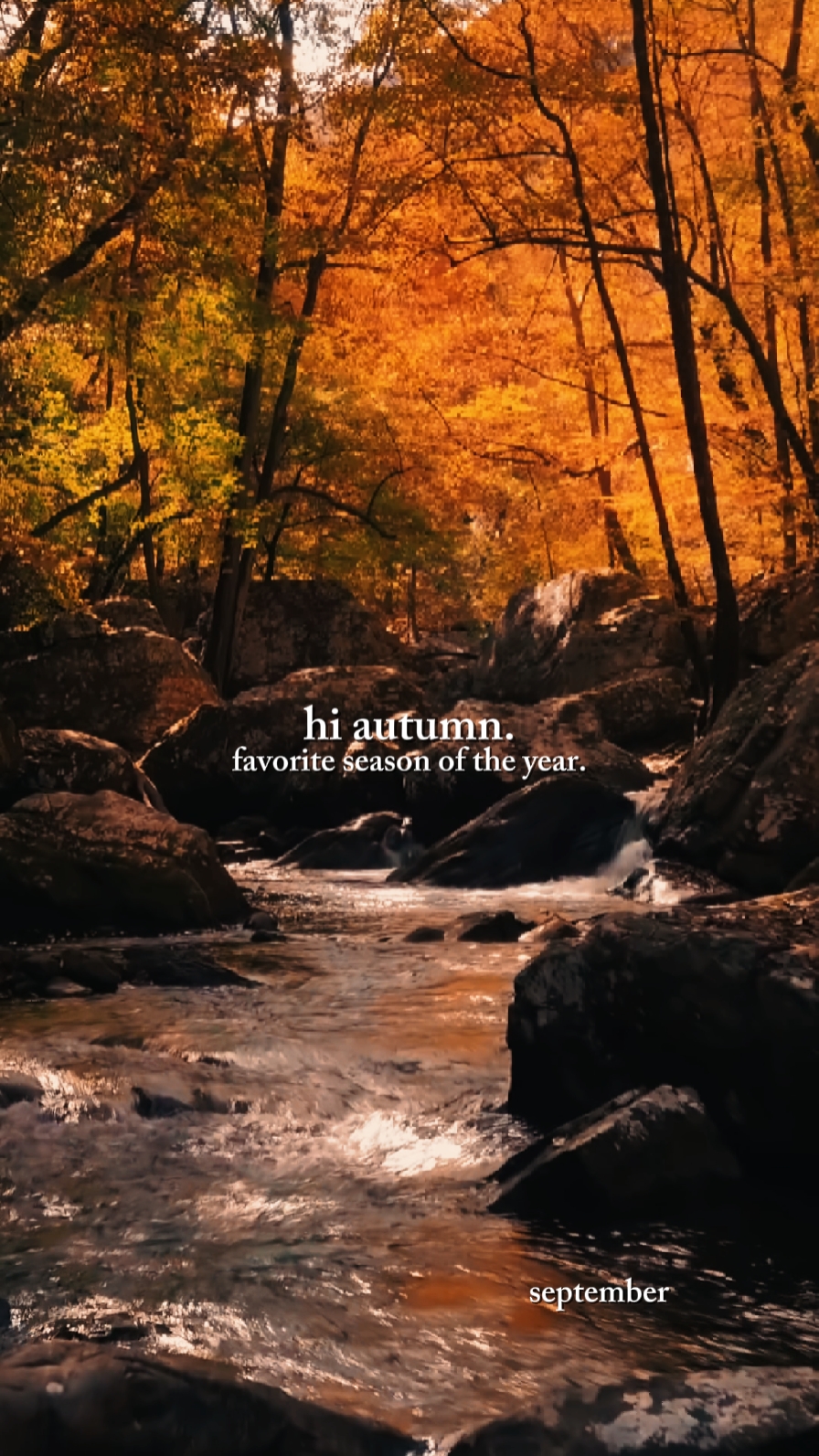 hi autumn