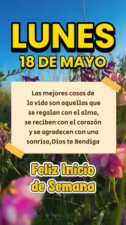Buenos Días Frases