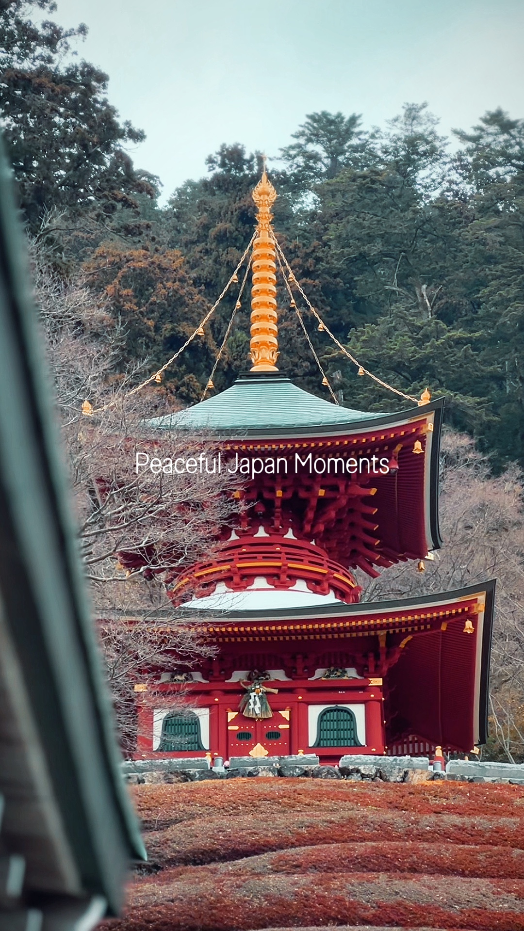 Japonya Anları