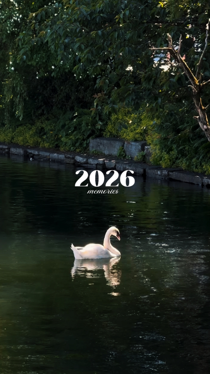 2026 recap