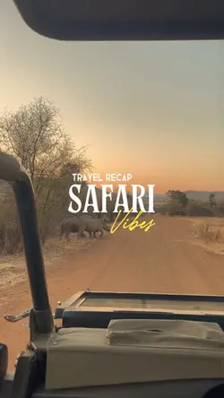 Safari vibes