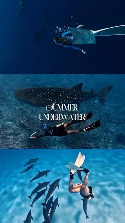 Summer Underwater