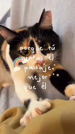 para mí gatito