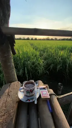 LAGU APAAN INI ANJ