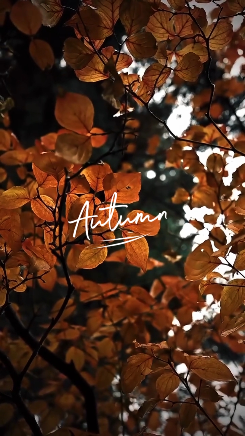 Autumn