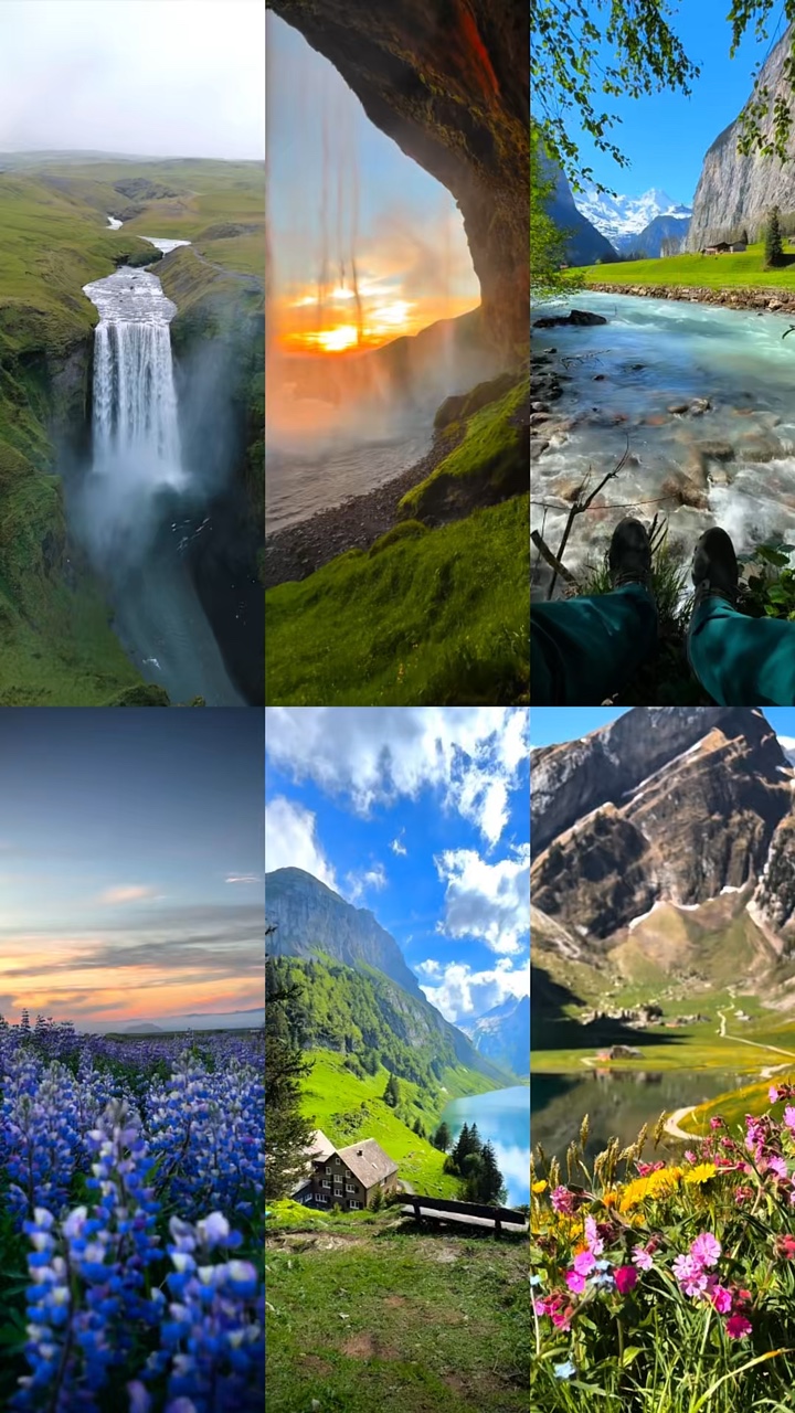 Historia de naturaleza salvaje