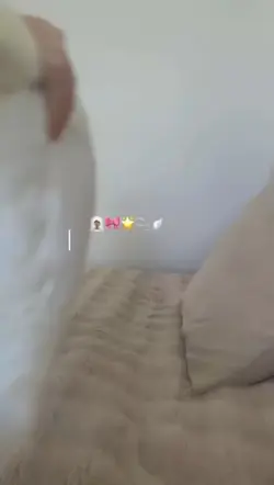 Morning routine free