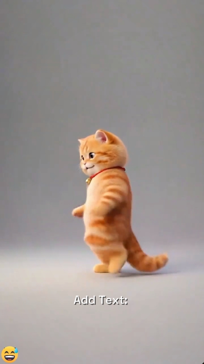 Tendência de dança do gato 