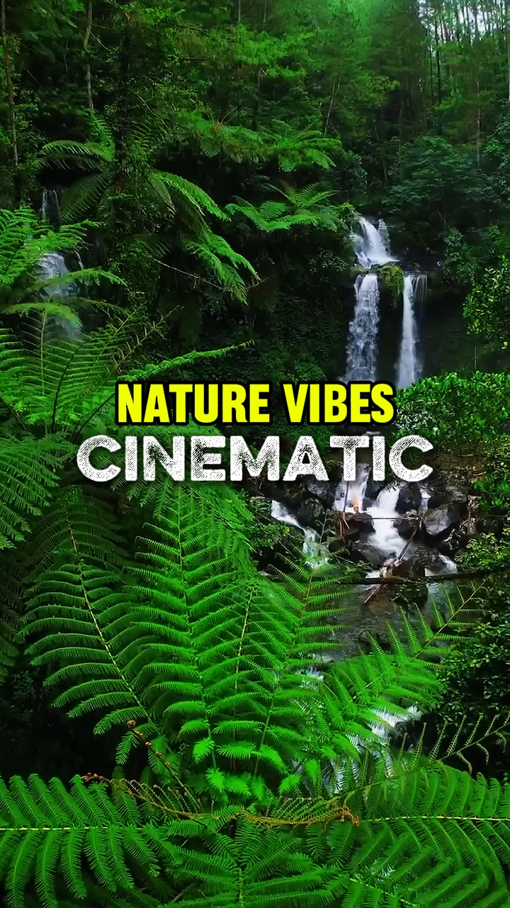 NATURE VIBES
