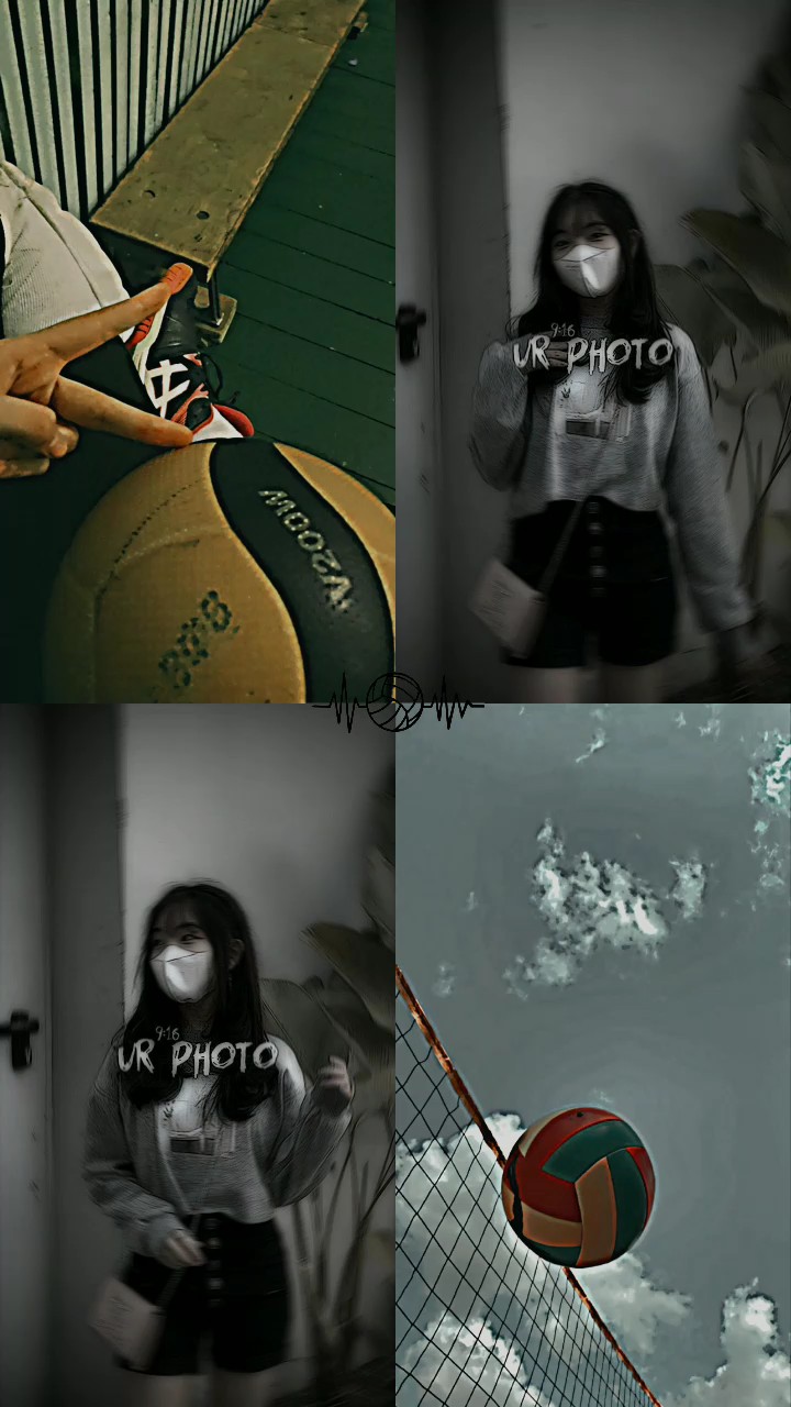 Voleibol 