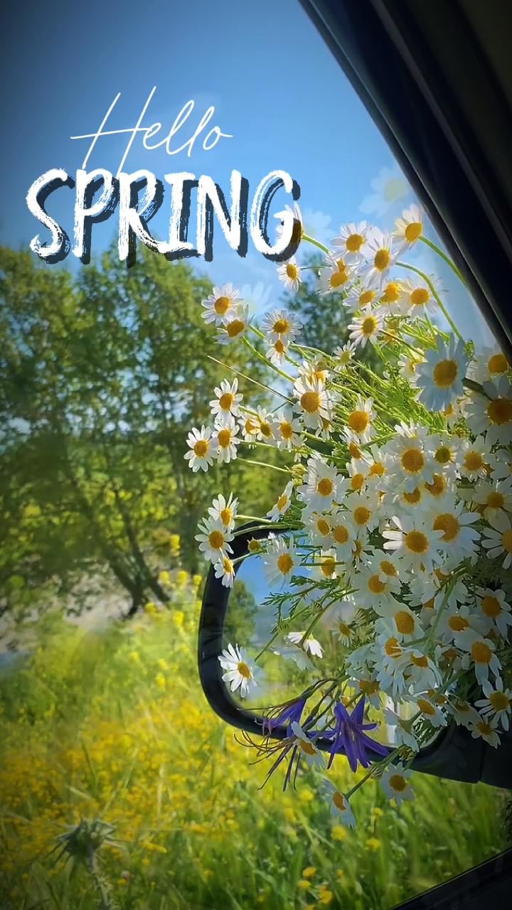 BONJOUR PRINTEMPS