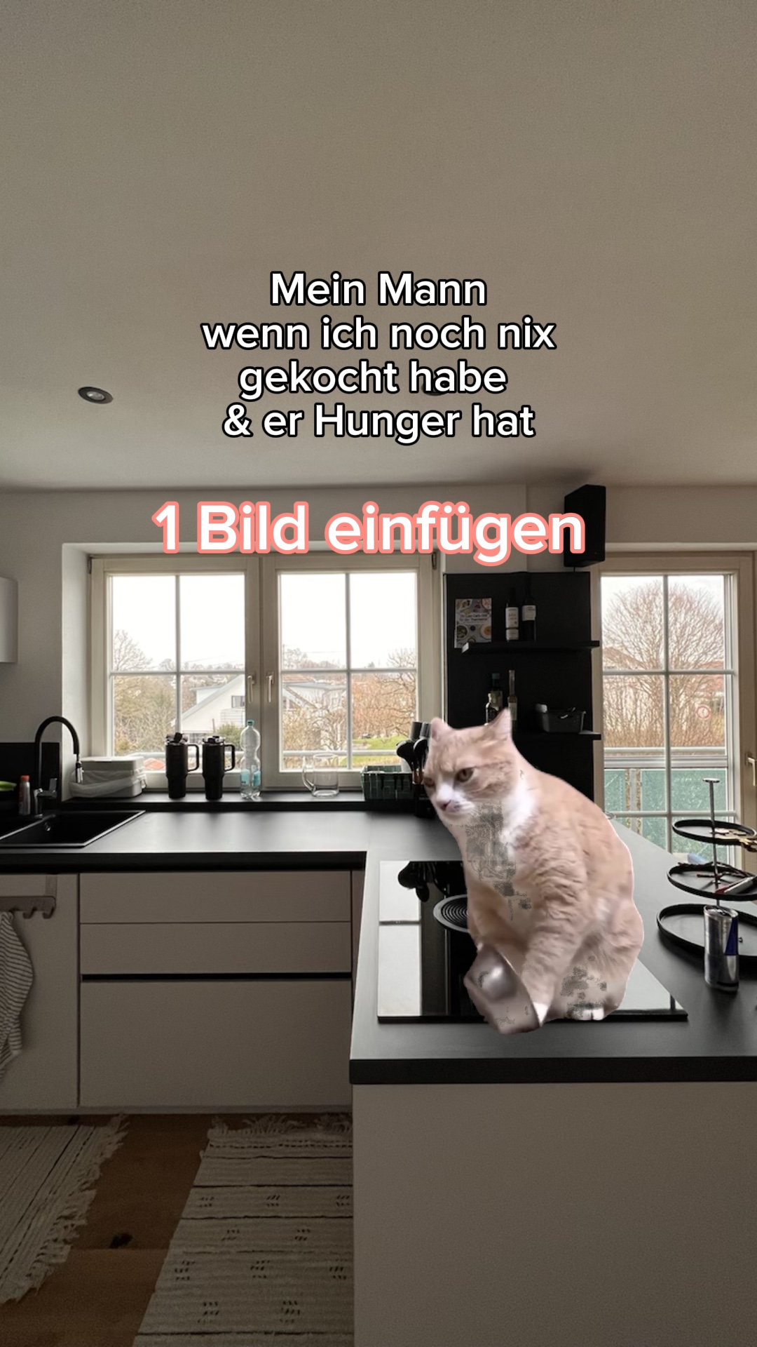 Meme kucing lapar 