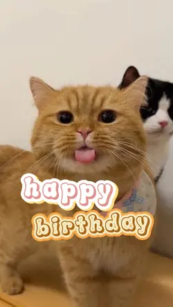HPBD hร i hฦฐแปc
